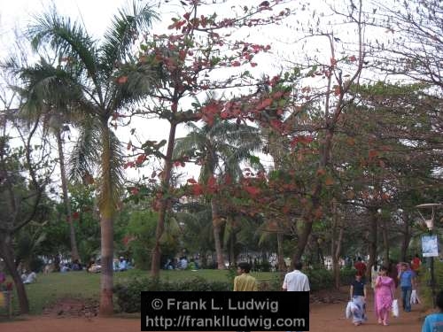 Priyadarshini Park, Maharashtra, Bombay, Mumbai, India